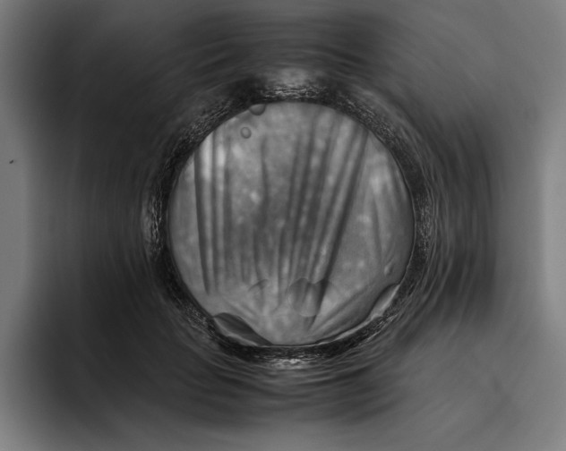 X0000094800653200712071206