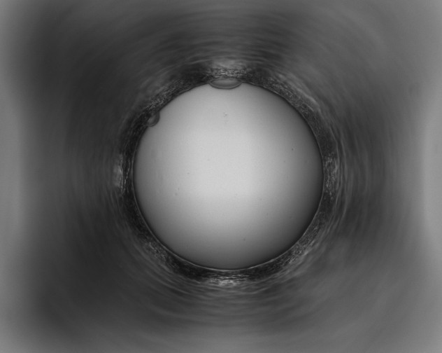 X0000094800655200712071206