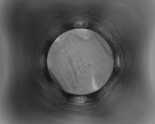 X0000094800659200712071206