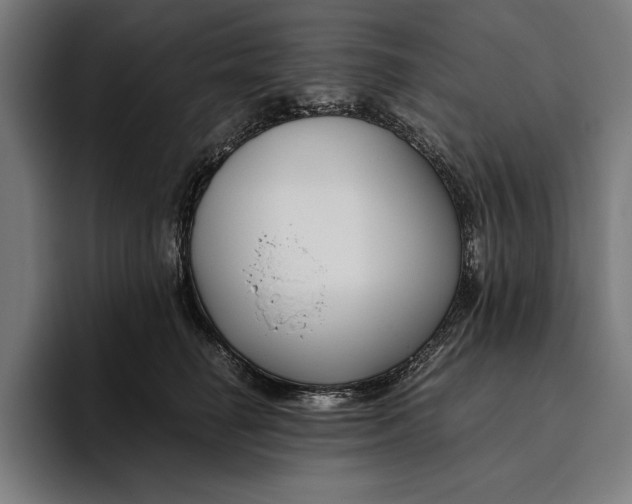 X0000094800662200712071206