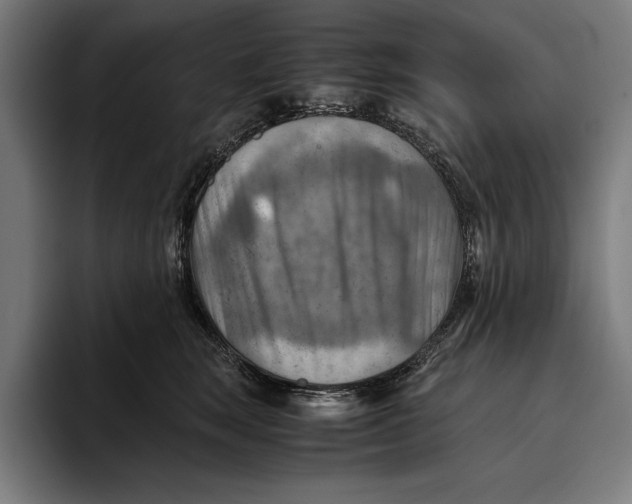 X0000094800663200712071206