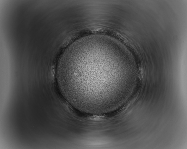 X0000094800664200712071206