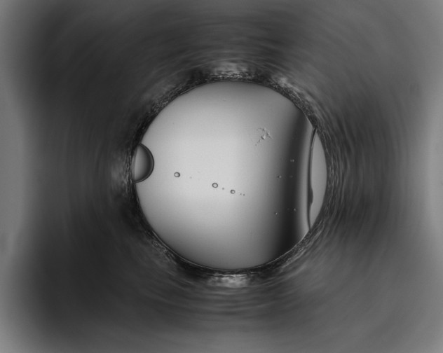 X0000094800665200712071206