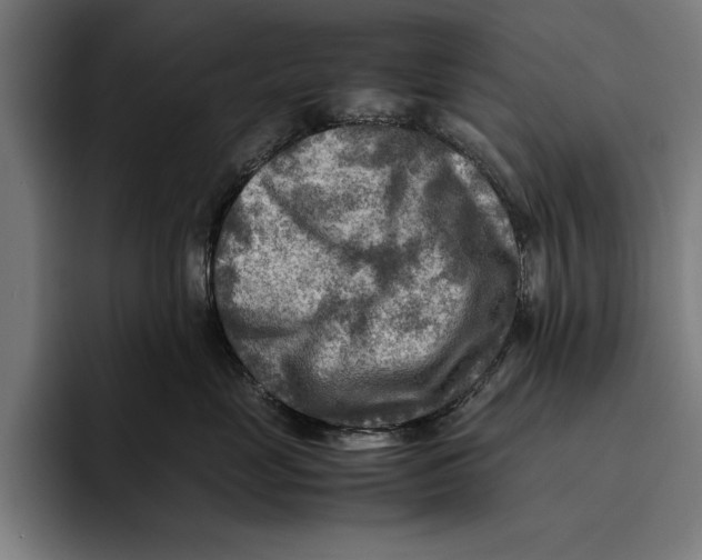 X0000094800669200712071206