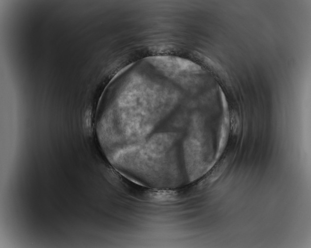 X0000094800670200712071206