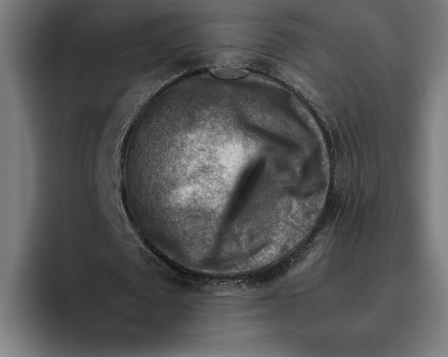 X0000094800673200712071206