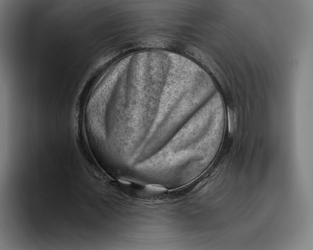 X0000094800675200712071206