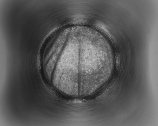 X0000094800684200712071206