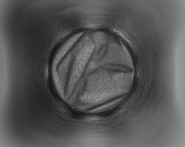 X0000094800685200712071206