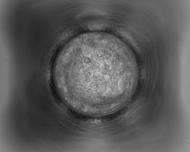 X0000094800687200712071206