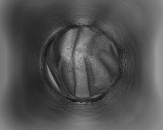 X0000094800688200712071206