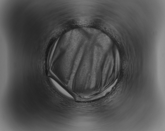 X0000094800689200712071206