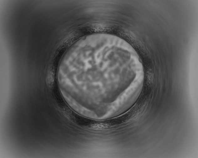 X0000094800691200712071206