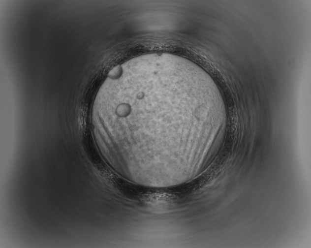 X0000094800695200712071205