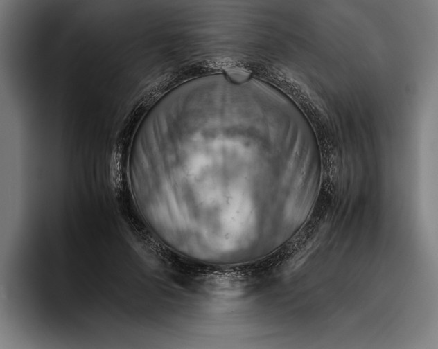 X0000094800696200712071205