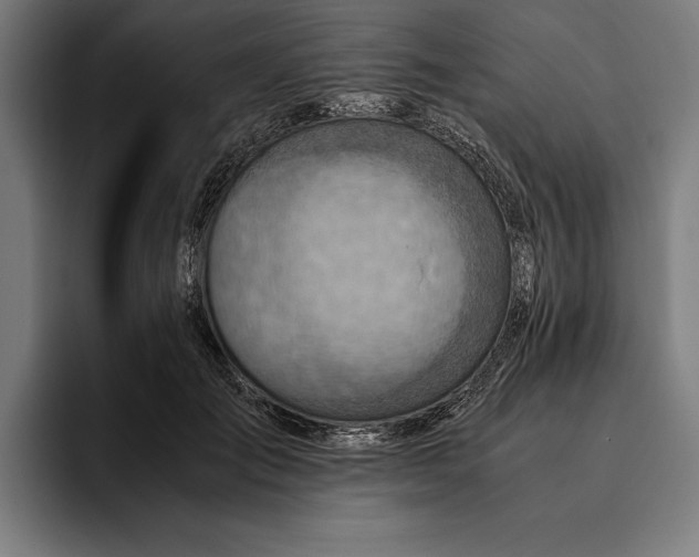 X0000094800701200712071205