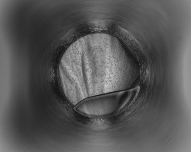 X0000094800704200712071205