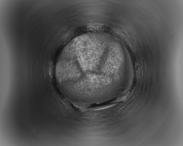 X0000094800712200712071205