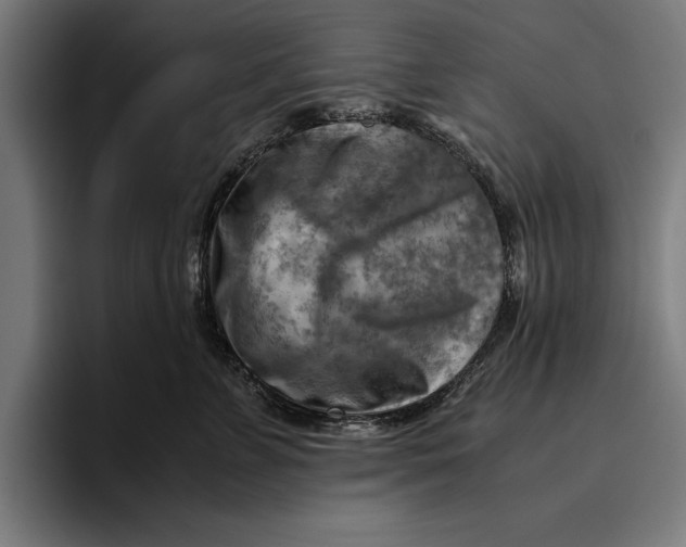 X0000094800715200712071205