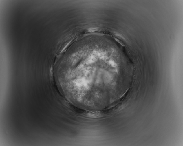 X0000094800720200712071205