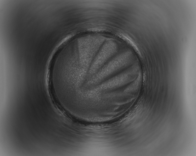 X0000094800724200712071205