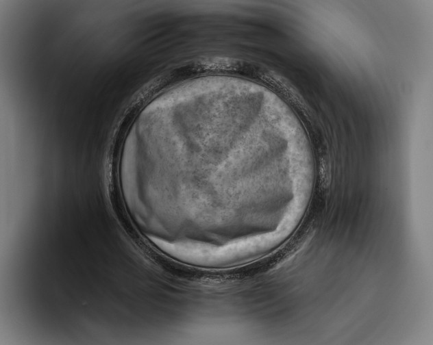 X0000094800725200712071205