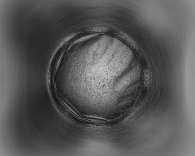 X0000094800726200712071205