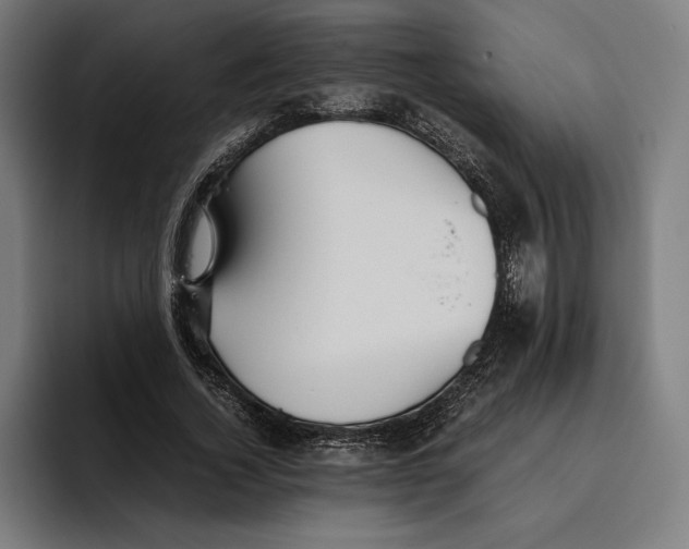 X0000094800732200712071205