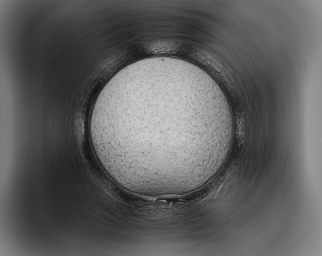 X0000094800733200712071205