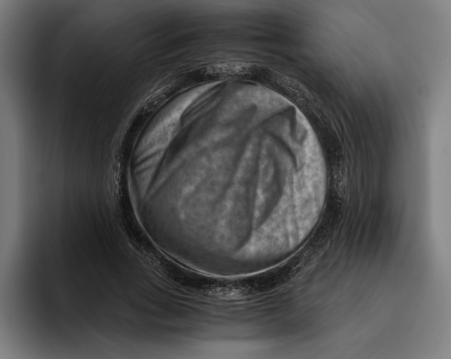 X0000094800735200712071205