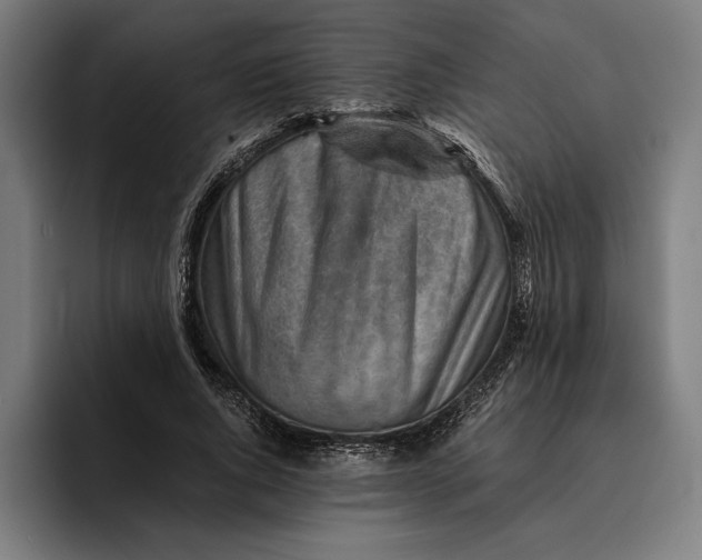 X0000094800736200712071205