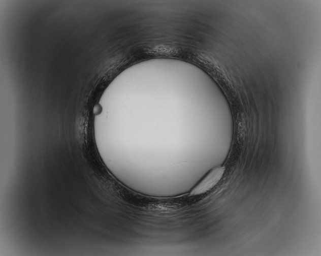 X0000094800739200712071205