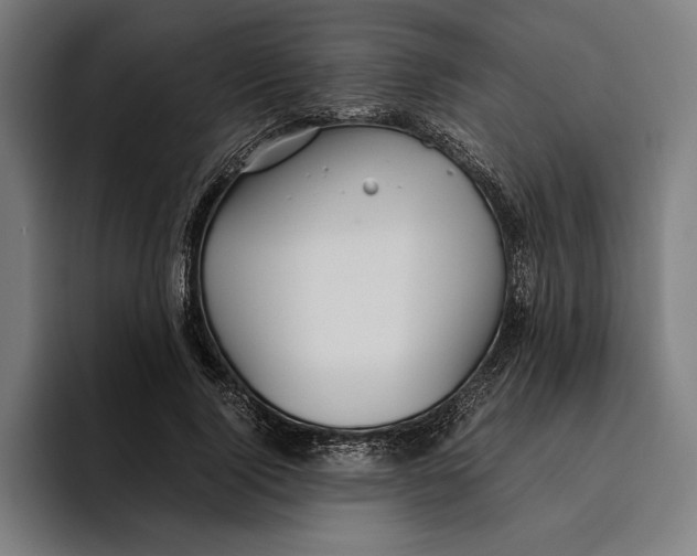 X0000094800740200712071205