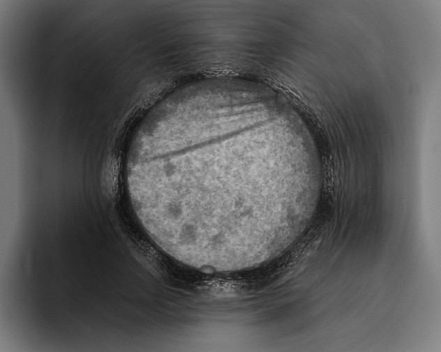 X0000094800742200712071205