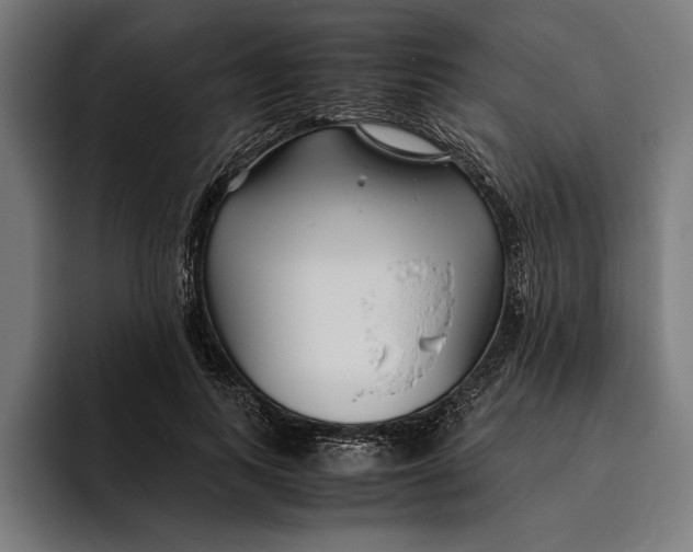 X0000094800743200712071205