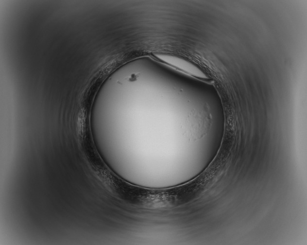 X0000094800744200712071205