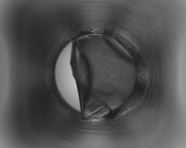 X0000094800748200712071205