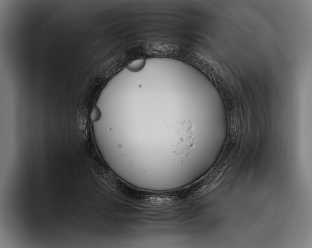 X0000094800749200712071205