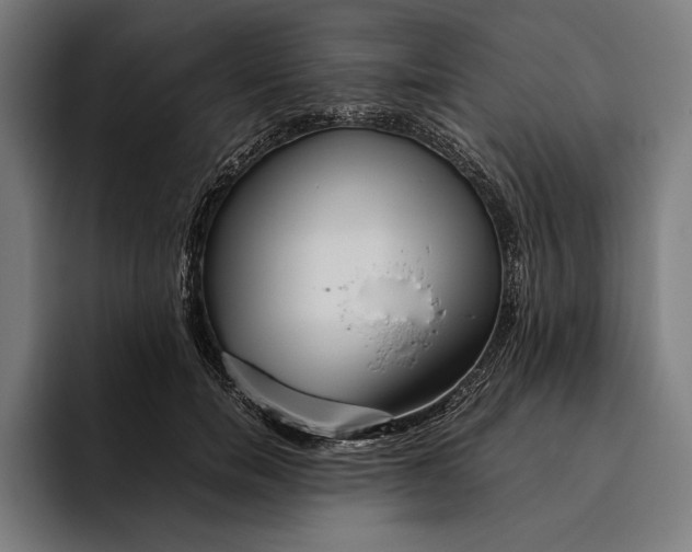 X0000094800750200712071205