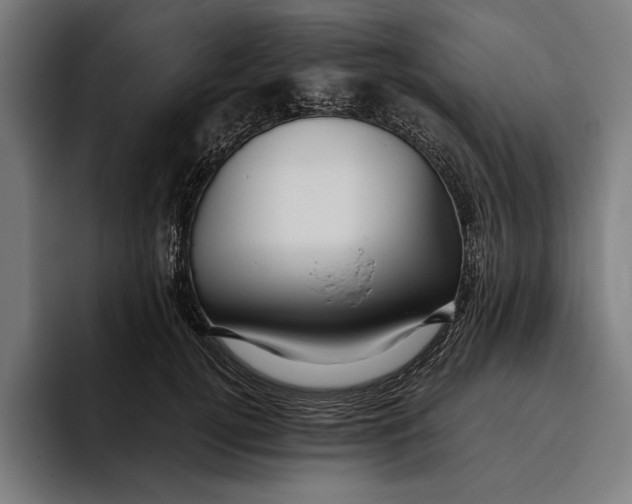 X0000094800752200712071205