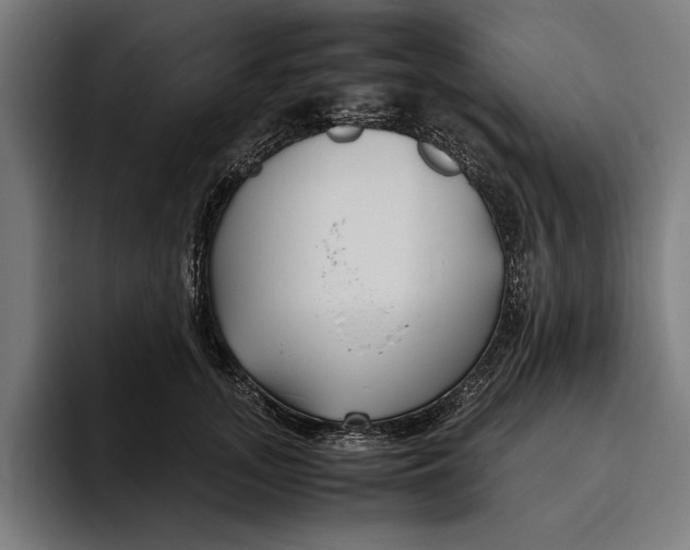 X0000094800755200712071205