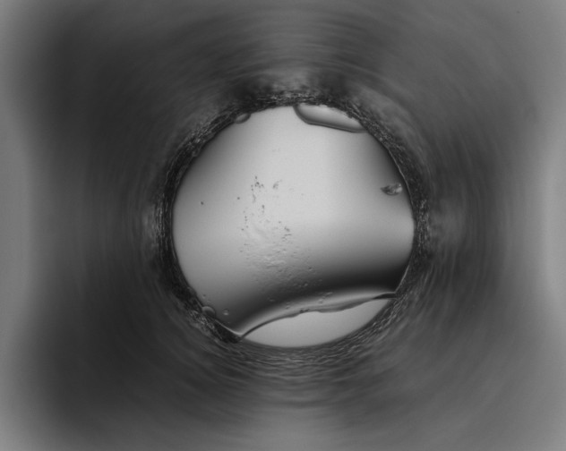 X0000094800756200712071205