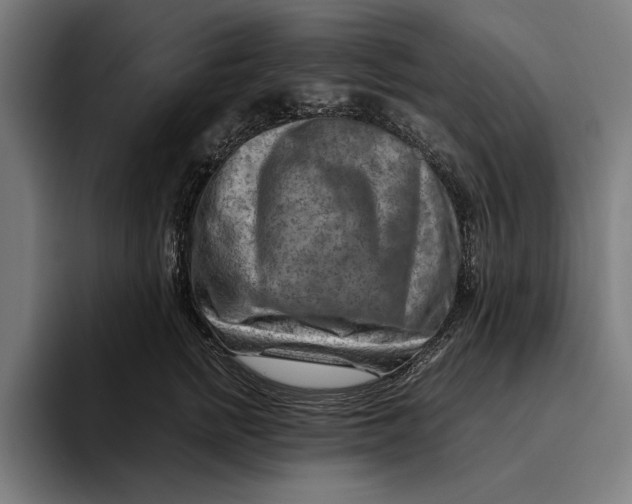 X0000094800758200712071205