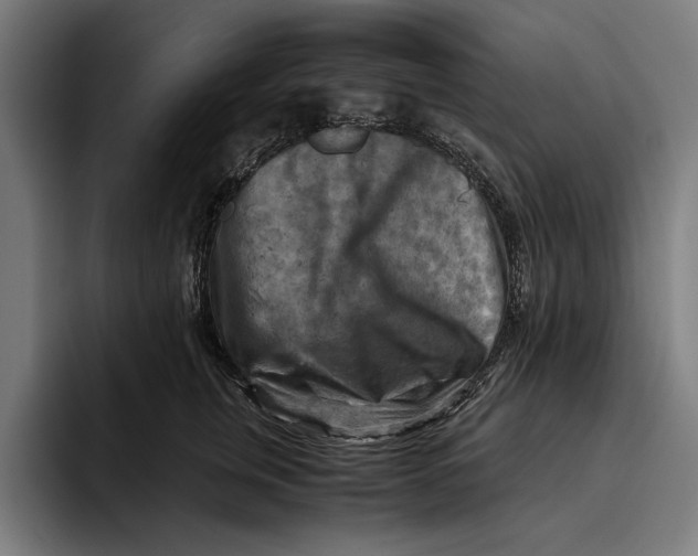 X0000094800759200712071205