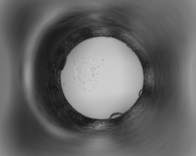 X0000094800764200712071205