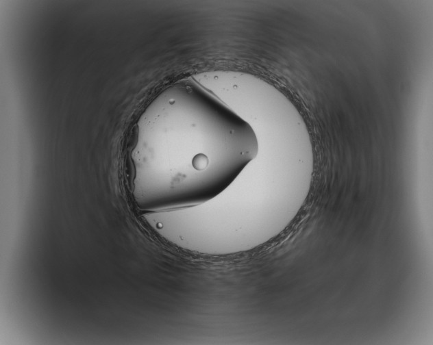 X0000094800769200712071205