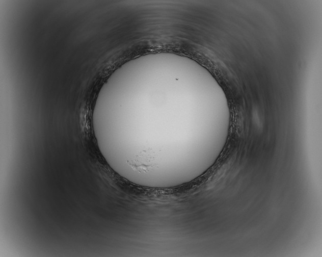 X0000094800770200712071205