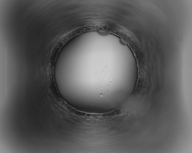 X0000094800773200712071204