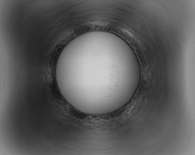 X0000094800774200712071204