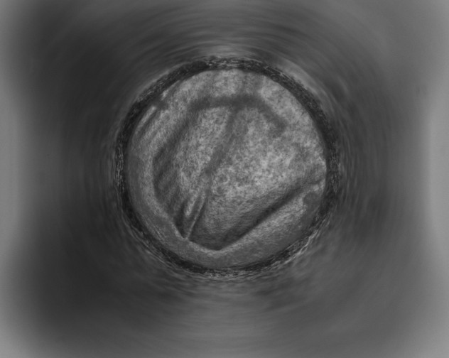 X0000094800775200712071204